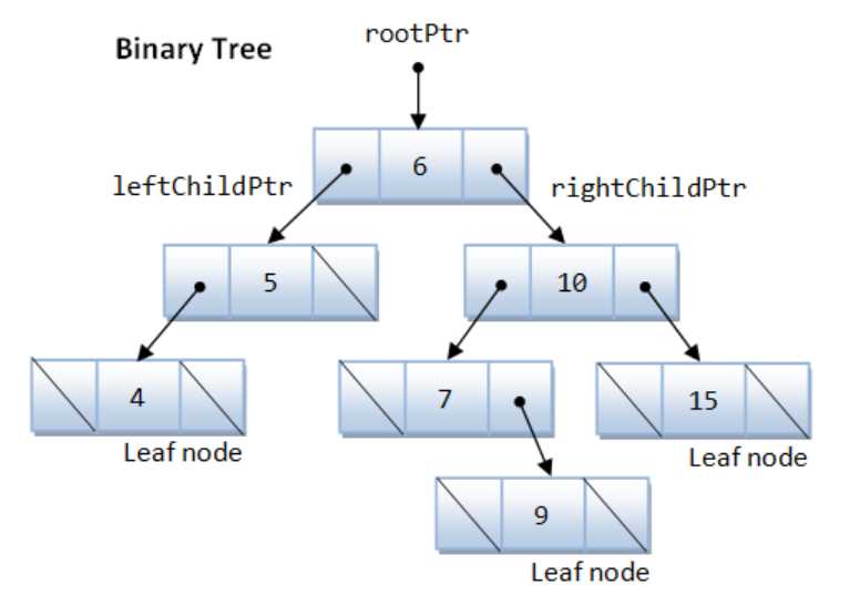 Binary Tree