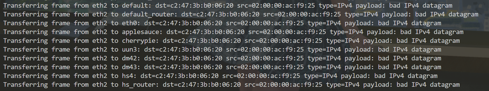 bad IPv4 datagram